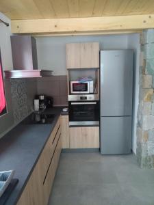 a kitchen with a refrigerator and a microwave at Chalet des Lys - tout confort - 12 personnes in Valloire