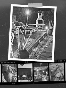 a collage of pictures of a house with a dog and a lamp at DomusAuroom, il tuo RELAX in Viareggio