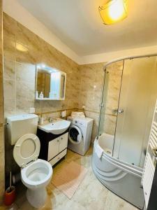 a bathroom with a toilet and a sink and a washing machine at Apartament Sofia in Sibiu