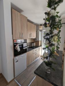 a kitchen with a christmas tree in the middle at Apartament Sofia in Sibiu