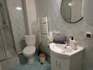 a bathroom with a toilet and a sink and a mirror at Odrodzenia 7 in Toruń