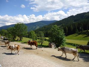 Fotografia z galérie ubytovania Gsenghof vo Filzmoose