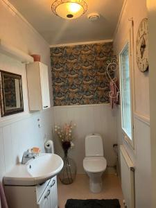 un piccolo bagno con servizi igienici e lavandino di Cozy house close to SantaVillage a Rovaniemi