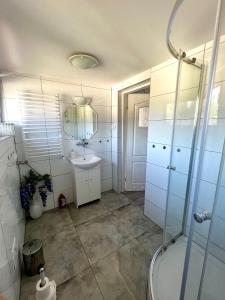 a bathroom with a sink and a shower at Bieszczadzkie Knieje in Ustrzyki Dolne