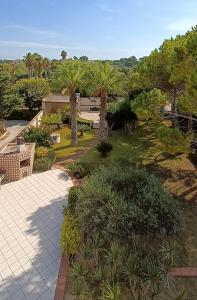 a garden with palm trees and a patio at VersoSUD in Marsala