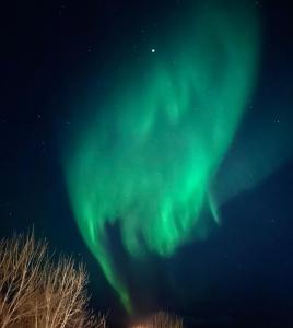 an image of the northern lights in the sky at Appartment close to the city, ocean and mountains -Tromsø in Tromsø