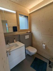 a bathroom with a sink and a toilet and a mirror at TinyHouse - (D)ein Ferienhaus in Schellenberg