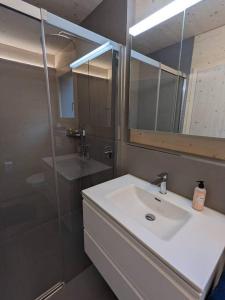 a bathroom with a sink and a mirror and a shower at TinyHouse - (D)ein Ferienhaus in Schellenberg