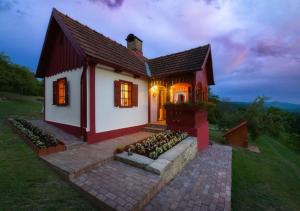 a small red and white house with lights on at Lavanda Carasova in Caraşova