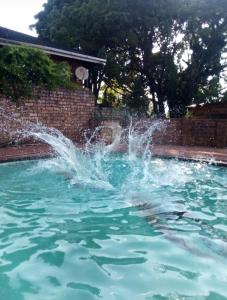 a fountain in a pool of water at Amaroks self catering units in Sabie