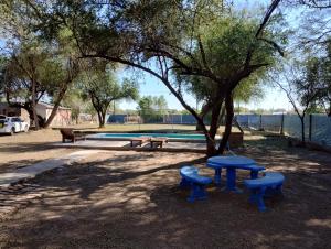 a picnic table and benches under a tree in a park at Finca La Huella II in Santiago del Estero