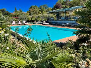 una gran piscina en un jardín con plantas en Slps 4 in 6 Gorgeous apts with Beautiful grounds pool jacuzzi Spoleto, en Spoleto