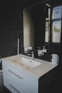 a bathroom with a white sink and a mirror at MaxiMar Apartment With Sauna in Valga