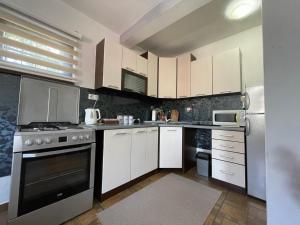 Кухня или мини-кухня в Apartman Ami
