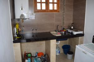a kitchen with a sink and a counter top at Cabaña Guadalupe in Tupungato