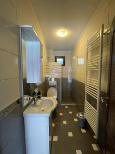 W łazience znajduje się umywalka, toaleta i lustro. w obiekcie Apartman Ami w Sarajewie