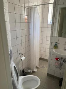 La salle de bains est pourvue de toilettes et d'un lavabo. dans l'établissement Nice room near airport, à Copenhague