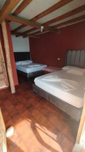 two beds in a room with a red wall at Cabañas Palos Locos in Baru