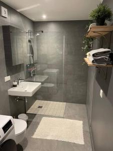a bathroom with a shower and a toilet and a sink at Suite am Meer / Seaside suite in Ķesterciems