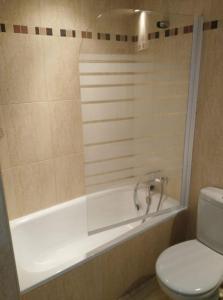 a bathroom with a shower with a toilet and a tub at Camino de la Sierra Parking y Mascotas in La Zubia