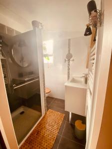 baño pequeño con ducha y lavamanos en Tiny Harmony - Logement confortable avec jardin et jacuzzi privés près d’Aix en Provence, en Venelles