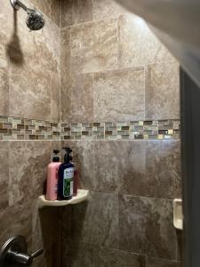 un bagno con dispenser di sapone, posto su una mensola di 150-year-old Lincolnville cottage 3bedroom 2bath a St. Augustine