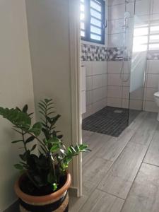 La salle de bains est pourvue d'une plante en pot et d'une douche. dans l'établissement Bienvenue à La Caz'A Loca, à Saint-Pierre