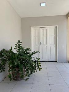 Gallery image of Pousada Cactus in Barreirinhas