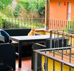 an orange cat sitting on a table on a patio at Casa BelMoro con piscina in Pescia