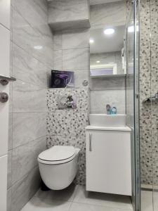 een badkamer met toilet en wastafel bij Stan na dan Nova Varoš in Banja Luka