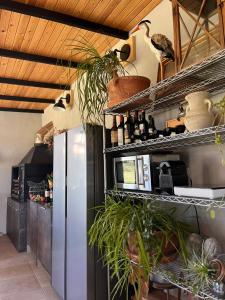 uma cozinha com frigorífico e prateleiras com plantas em Las casitas del Gallego em Villanueva de Gállego