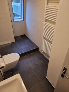 a small bathroom with a toilet and a sink at Willi's Moselschlösschen in Neumagen-Dhron