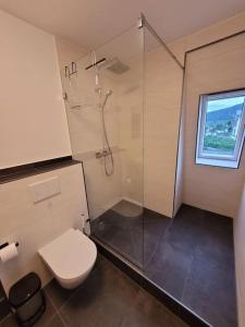 a bathroom with a toilet and a shower with a window at Willi's Moselschlösschen in Neumagen-Dhron