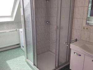 a shower with a glass door in a bathroom at Ferienhaus Wernesgrün in Wernesgrün