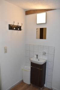 a bathroom with a sink and a mirror at Neu renoviert: 11 Zimmer mit großer Wohnküche, mitten in der Natur in Neu Gaarz +36 photos