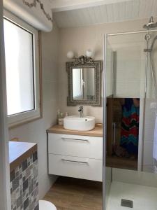 ein Bad mit einem Waschbecken und einem Spiegel in der Unterkunft Maison de charme à Chaucre in Chaucre