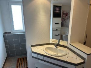 a bathroom with a sink and a mirror at GITE DES FORGERONS in Dambach-la-Ville