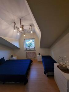 1 dormitorio con 2 camas azules y ventana en Apartament Mewa Gdańsk, en Gdansk