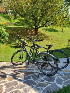 a bike is parked on a stone walk way at Ferienwohnung Zangl am Seggauberg - Südsteiermark in Leibnitz