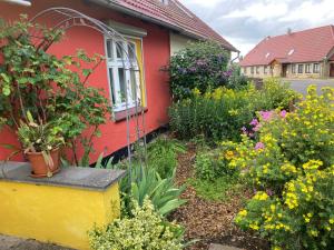 einen Garten mit Blumen vor einem Haus in der Unterkunft Villa Kunterbunt: Urgemütlich und fast perfekt in Hohen Wangelin