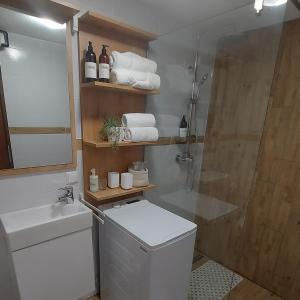a bathroom with a shower and a toilet and a sink at Studio apartman Iskra, self check IN-OUT in Županja