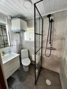 a bathroom with a shower and a toilet and a sink at Gemuetliches Blockhaus im Wald in Auktsjaur