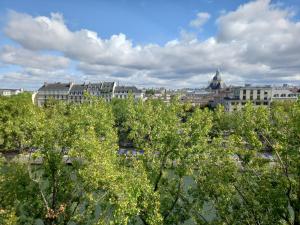 パリにあるILE SAINT-LOUIS GLAMOROUS FLATの木々や建物のある街並み