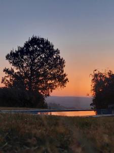 a tree sitting next to a lake at sunset at 9 Stoney Way House in Underberg