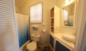 a bathroom with a toilet and a sink and a mirror at Gloria's mini hideaway in Christ Church