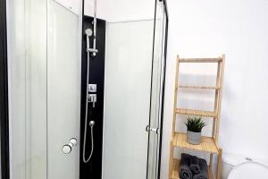 MormantにあるMaison avec jardin proche de Parisのバスルーム(ハシゴ付きシャワー、トイレ付)