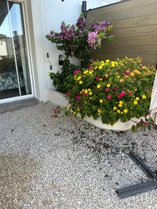 Un vaso di fiori seduto accanto a una porta di Cocon en Provence a Marignane