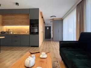 Η κουζίνα ή μικρή κουζίνα στο Plażowa Residence +6 φωτογραφίες