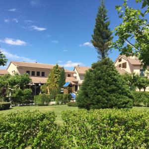 a large pine tree in front of a building at Mirasierra in Santo Tomé del Puerto