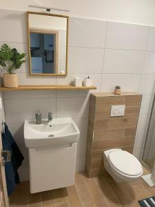 een badkamer met een wastafel, een toilet en een spiegel bij Apartmán Nové Hutě Šumava in Nové Hutě
